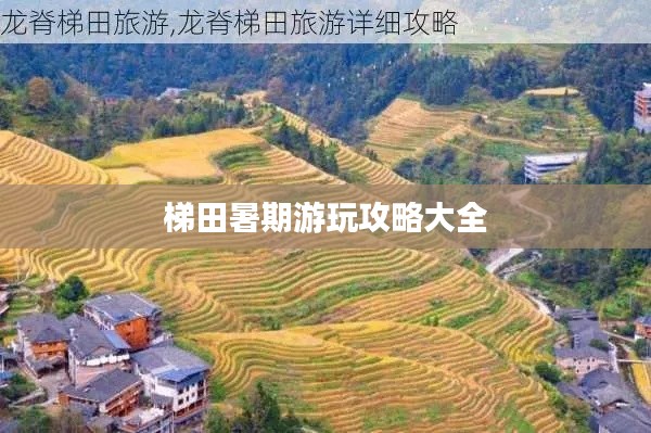 梯田暑期游玩攻略大全