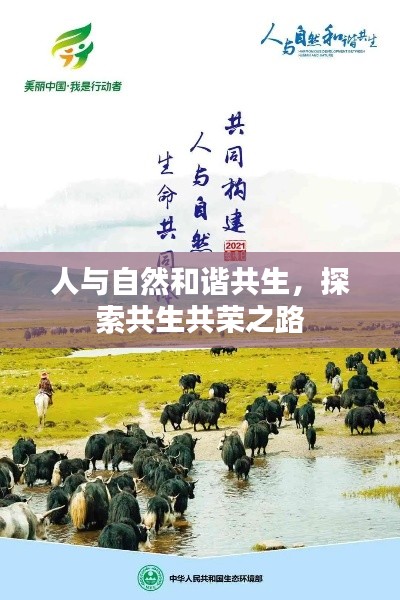 人与自然和谐共生，探索共生共荣之路