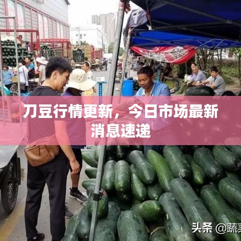 施工现场 第56页