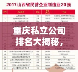 重庆私立公司排名大揭秘，揭秘重庆地区私立企业榜单！