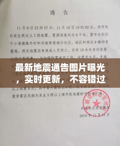心慌意乱 第2页