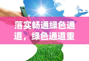 落实畅通绿色通道，绿色通道重要性 