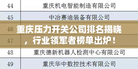 重庆压力开关公司排名揭晓，行业领军者榜单出炉！