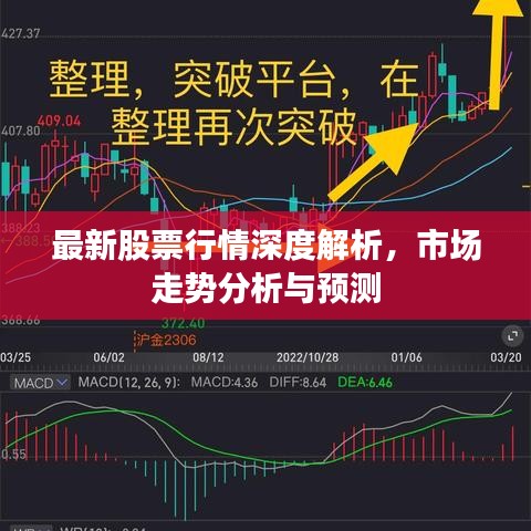 林下风范 第2页