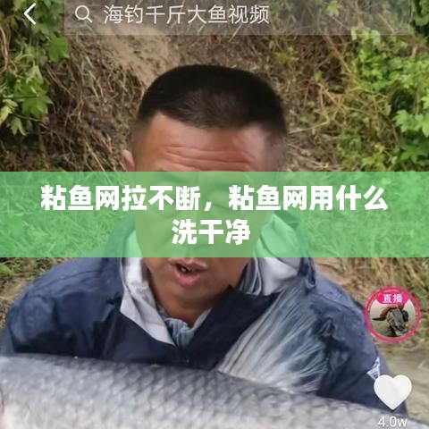 粘鱼网拉不断，粘鱼网用什么洗干净 