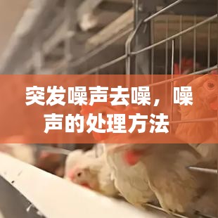 突发噪声去噪，噪声的处理方法 