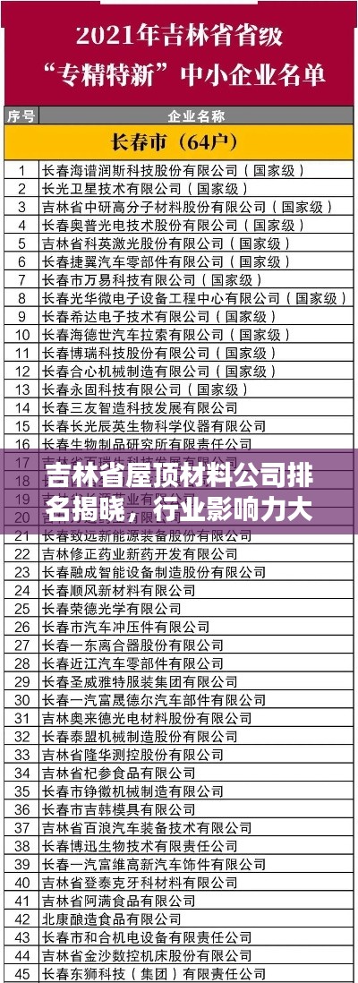 吉林省屋顶材料公司排名揭晓，行业影响力大揭秘！