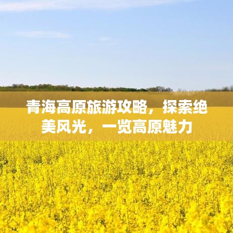 青海高原旅游攻略，探索绝美风光，一览高原魅力
