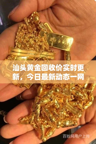 汕头黄金回收价实时更新，今日最新动态一网打尽！