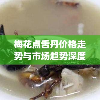 梅花点舌丹价格走势与市场趋势深度解析