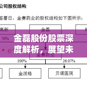 金磊股份股票深度解析，展望未来发展前景