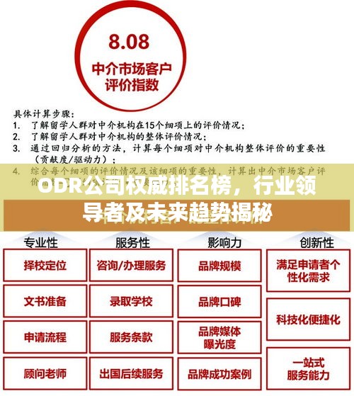 ODR公司权威排名榜，行业领导者及未来趋势揭秘