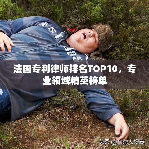 法国专利律师排名TOP10，专业领域精英榜单
