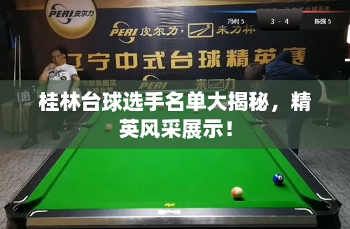 桂林台球选手名单大揭秘，精英风采展示！