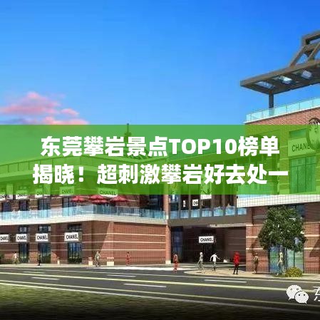 东莞攀岩景点TOP10榜单揭晓！超刺激攀岩好去处一网打尽