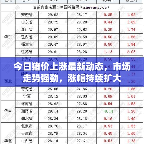 今日猪价上涨最新动态，市场走势强劲，涨幅持续扩大