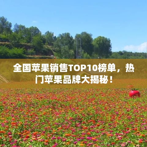 全国苹果销售TOP10榜单，热门苹果品牌大揭秘！