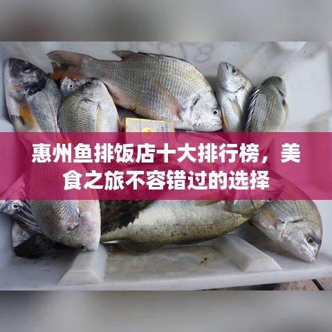 惠州鱼排饭店十大排行榜，美食之旅不容错过的选择
