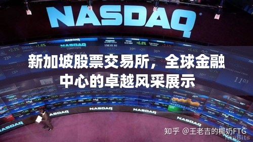 笨鸟先飞
