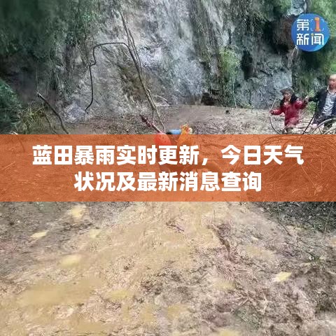 衣不重采