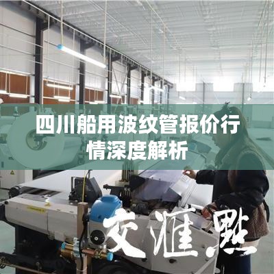 四川船用波纹管报价行情深度解析