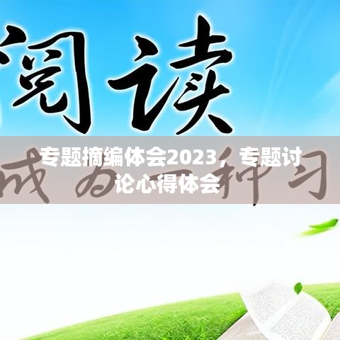专题摘编体会2023，专题讨论心得体会 