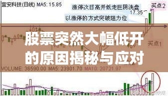 股票突然大幅低开的原因揭秘与应对策略探讨