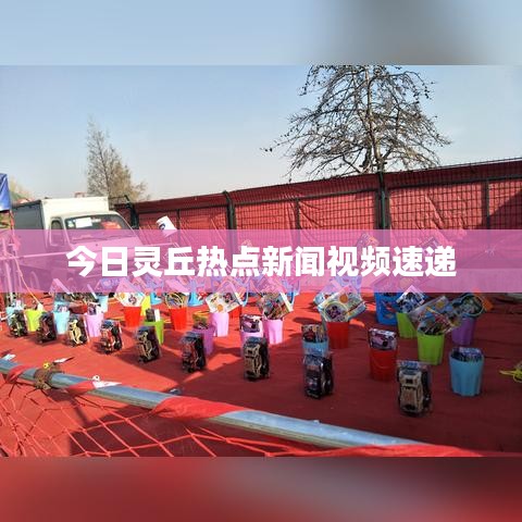 今日灵丘热点新闻视频速递
