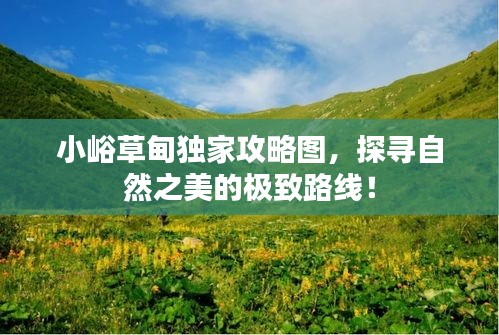 小峪草甸独家攻略图，探寻自然之美的极致路线！