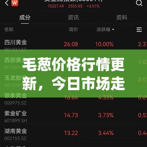 毛葱价格行情更新，今日市场走势及分析