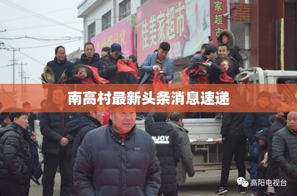 南高村最新头条消息速递