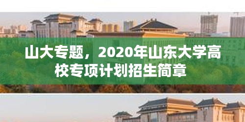 山大专题，2020年山东大学高校专项计划招生简章 