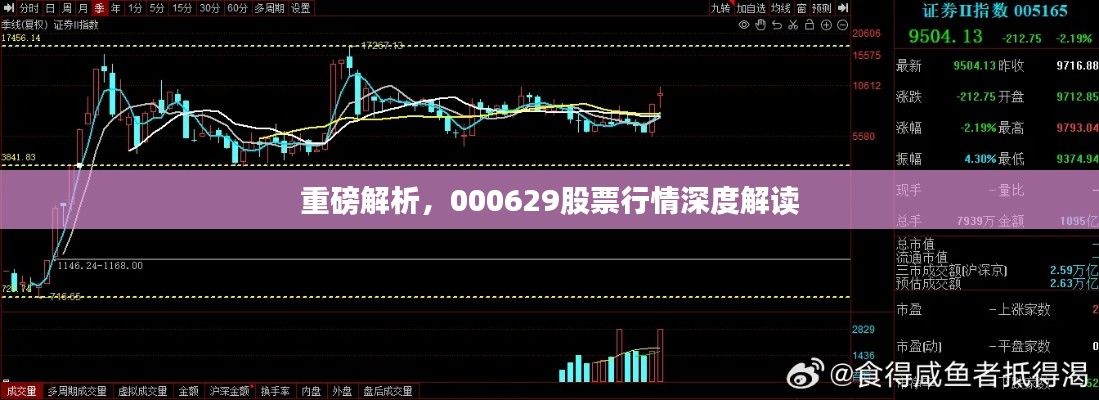 重磅解析，000629股票行情深度解读