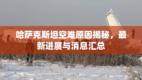 哈萨克斯坦空难原因揭秘，最新进展与消息汇总