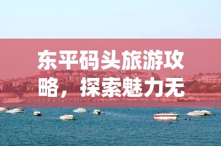 东平码头旅游攻略，探索魅力无限的魅力宝地！