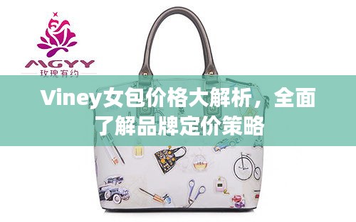 Viney女包价格大解析，全面了解品牌定价策略