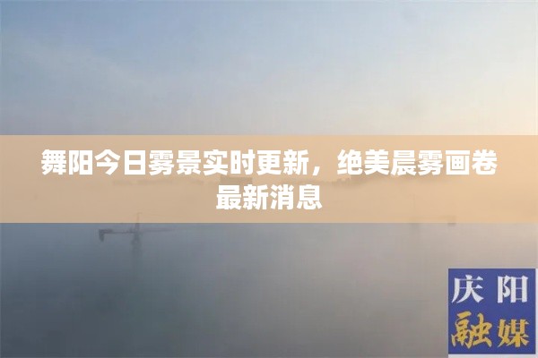 舞阳今日雾景实时更新，绝美晨雾画卷最新消息
