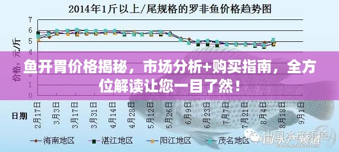 鱼开胃价格揭秘，市场分析+购买指南，全方位解读让您一目了然！