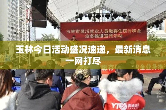 玉林今日活动盛况速递，最新消息一网打尽