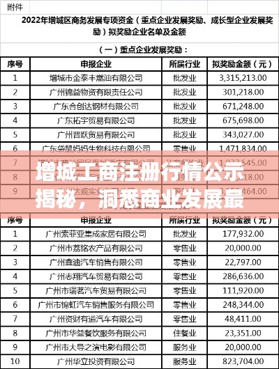 增城工商注册行情公示揭秘，洞悉商业发展最新动态