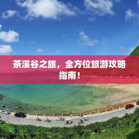 茶溪谷之旅，全方位旅游攻略指南！