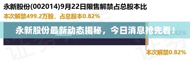 永新股份最新动态揭秘，今日消息抢先看！