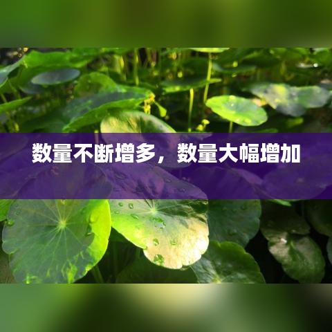 数量不断增多，数量大幅增加 
