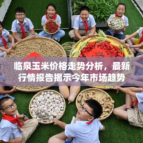 临泉玉米价格走势分析，最新行情报告揭示今年市场趋势
