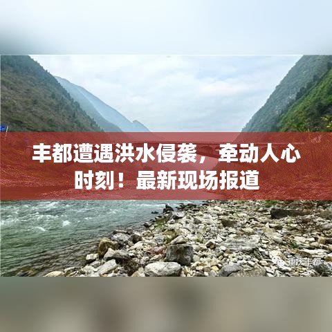 没精打采