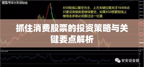抓住消费股票的投资策略与关键要点解析
