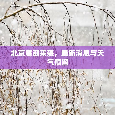橘虞初梦