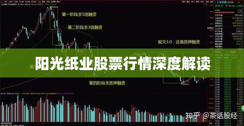 阳光纸业股票行情深度解读
