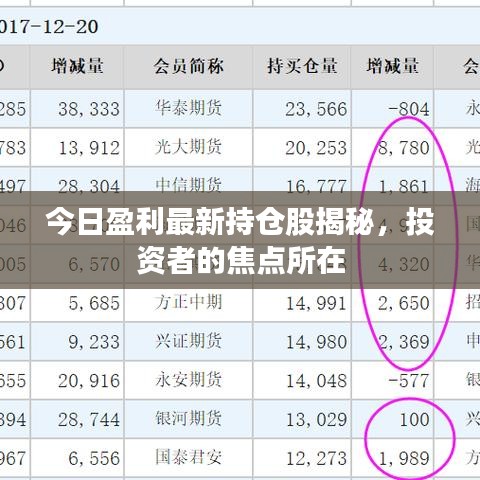 今日盈利最新持仓股揭秘，投资者的焦点所在
