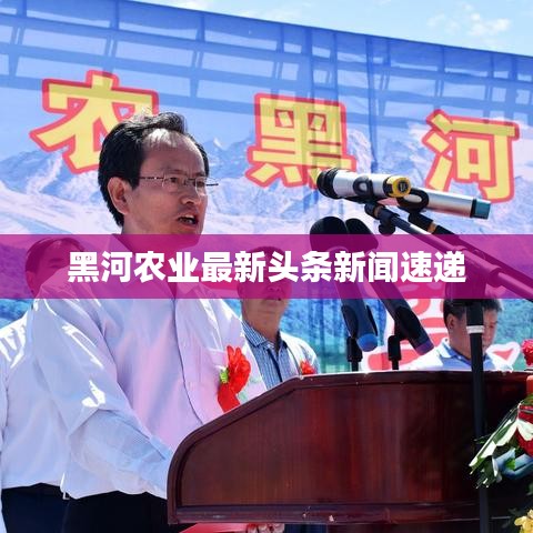 黑河农业最新头条新闻速递